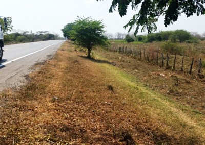 Technical assistance during the design and construction for the Puerta del Hierro road concession contract – Cruz del Viso, Colombia (main contractor SACYR)